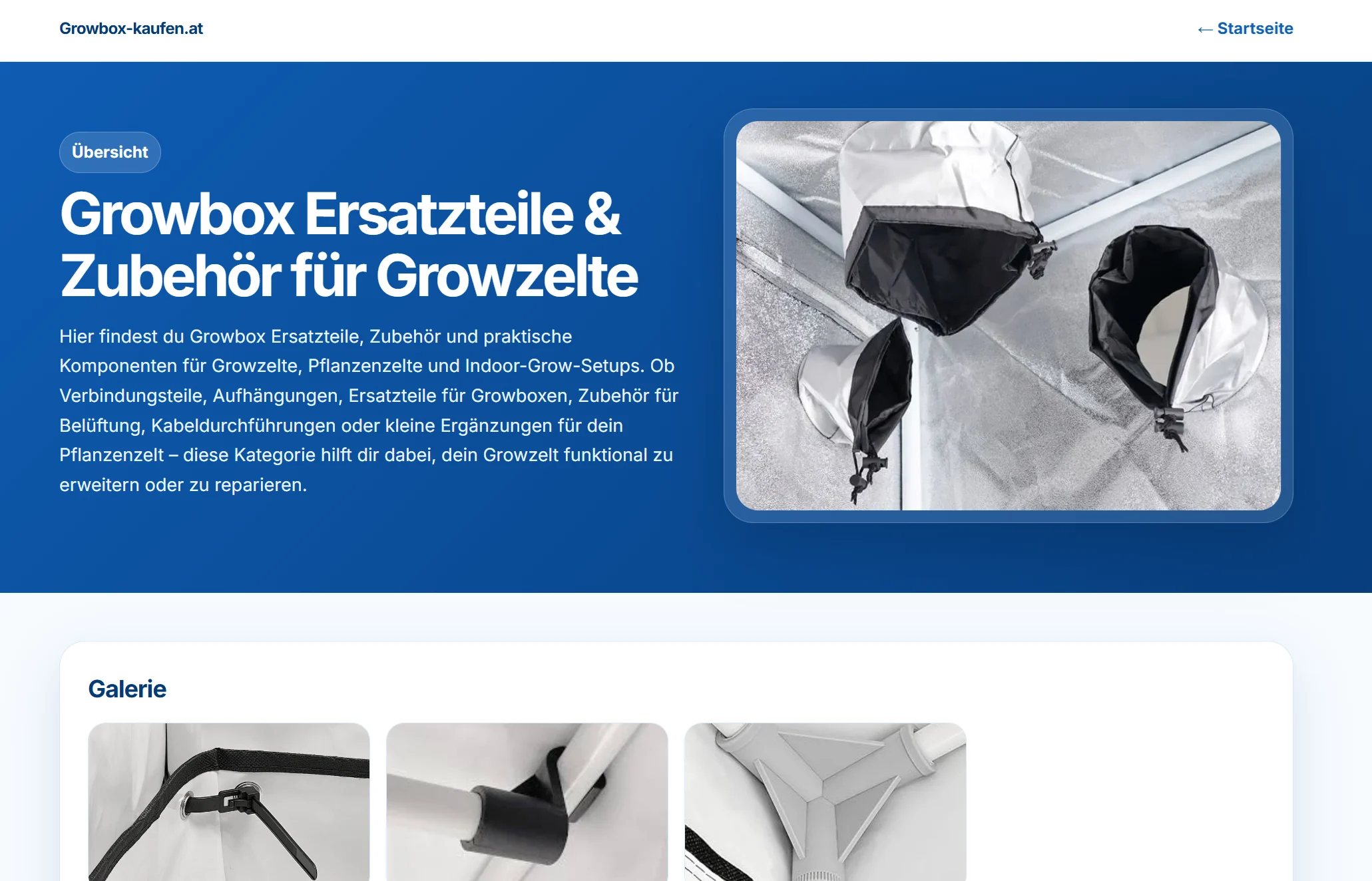 Mehrseitige Landingpage mit ruhigem Design, Statistikmessung, Backend und API-Anbindung